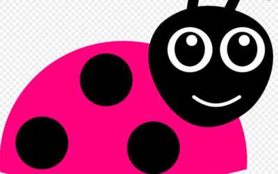Prize Beetle Drive