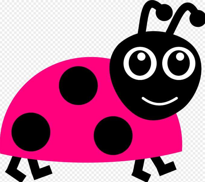 Prize Beetle Drive